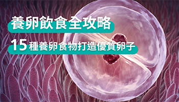 備孕養卵飲食攻略