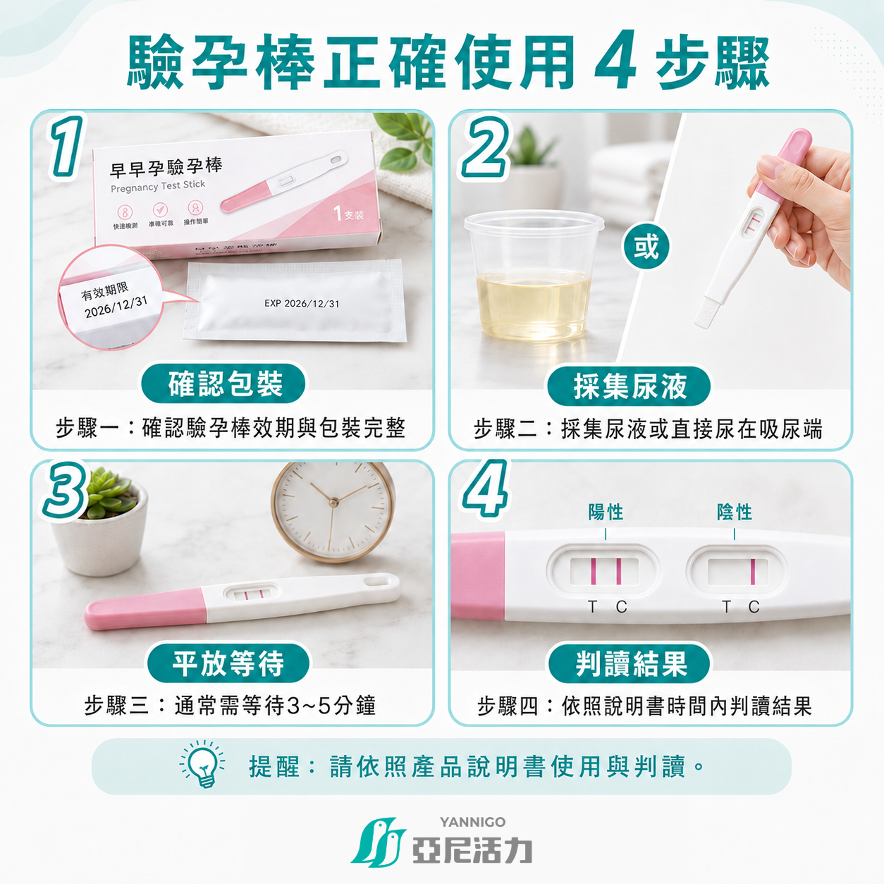 驗孕棒正確使用4步驟教學，包含確認包裝效期、採集尿液、平放等待3到5分鐘，以及判讀陽性與陰性結果。