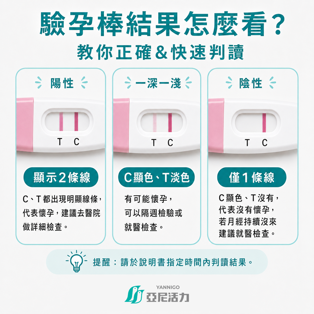 驗孕棒判讀教學圖，整理兩條線、一深一淺與僅一條線的結果說明，提醒依照說明書時間判讀。
