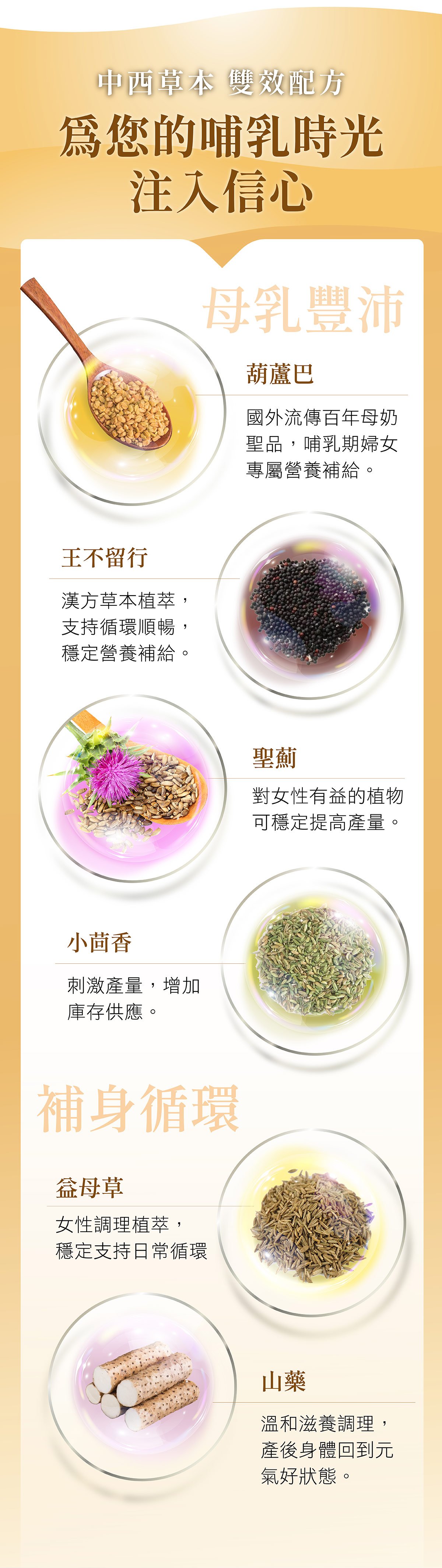 汝倍多膠囊草本來源，包括葫蘆巴、王不留行、聖薊、小茴香、益母草與山藥，提供哺乳期媽媽奶量營養支持