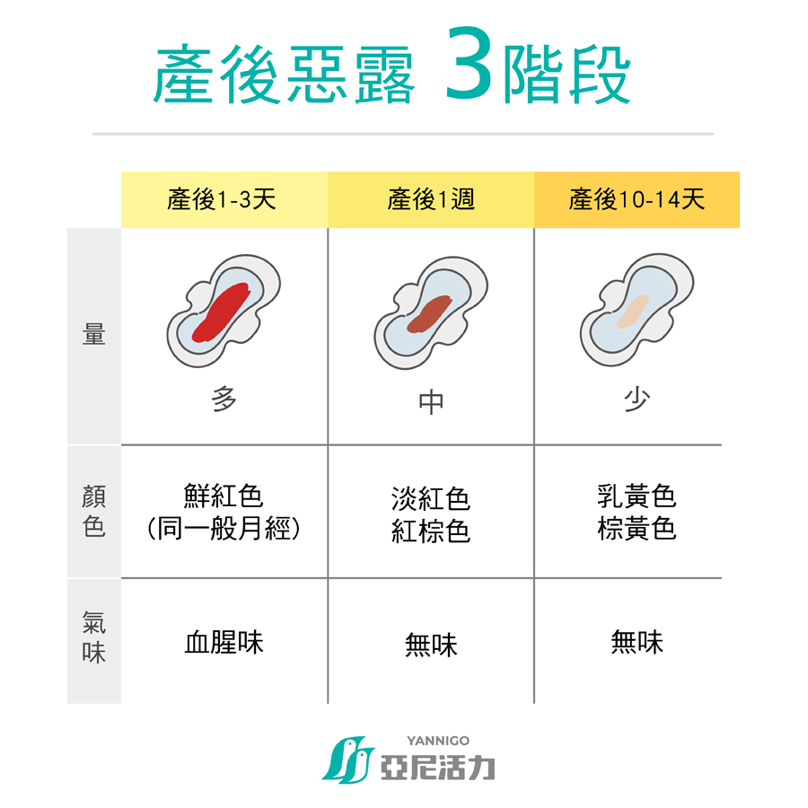 產後惡露三階段