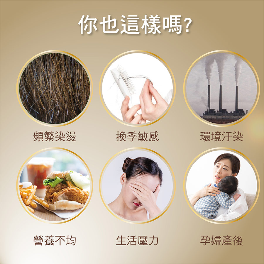 亞尼活力產後法倍多適用族群