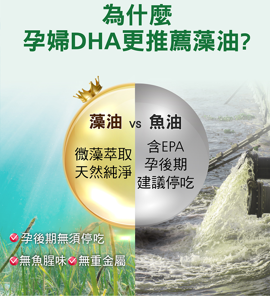 藻油魚油差在哪?藻油、魚油比較一覽表，孕婦DHA更推薦藻油!