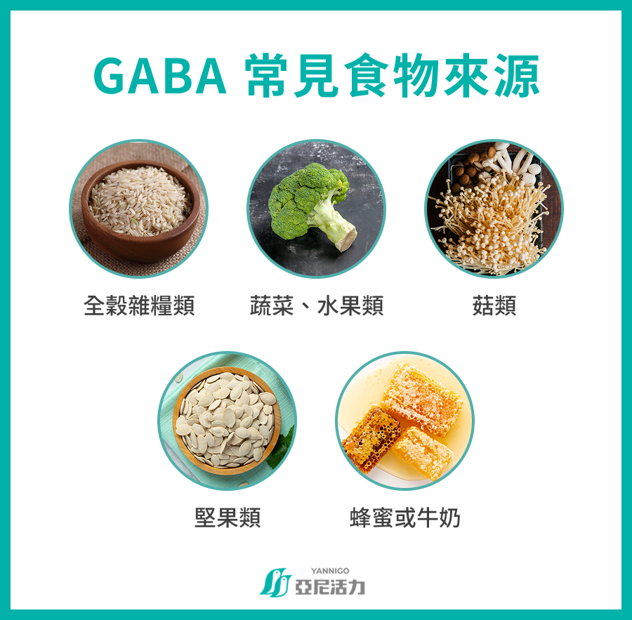 GABA 常見食物來源  全穀根莖類 蔬菜、水果類 豆製品、蛋奶類 發酵食品 其他