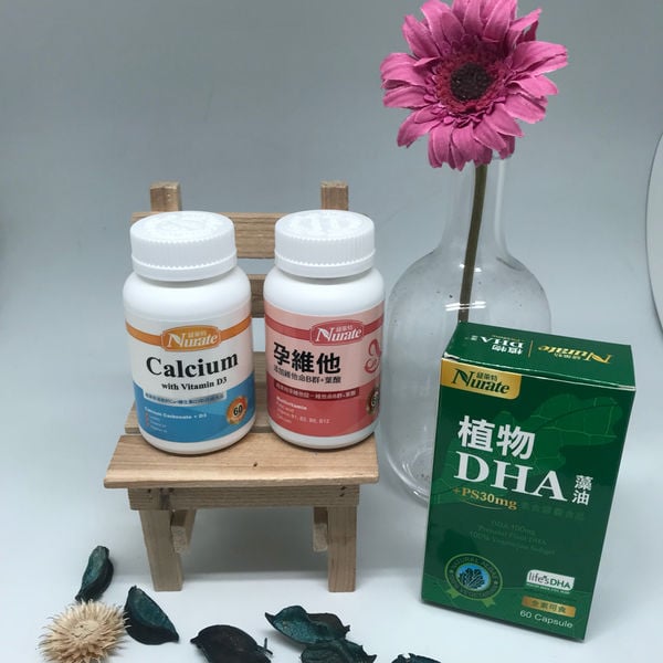 亞尼活力紐萊特聰明組