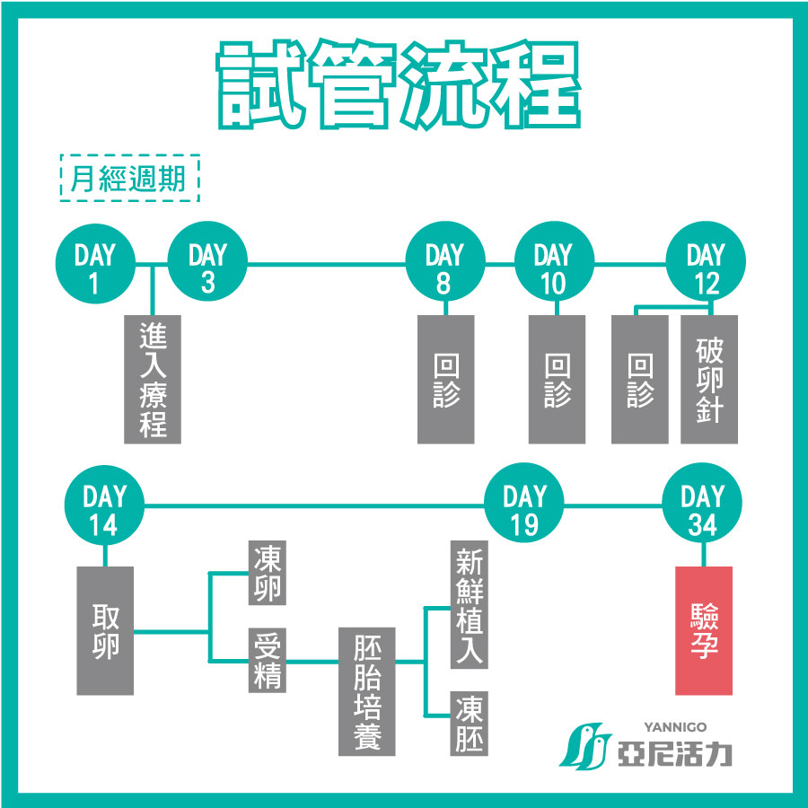 台灣試管嬰兒療程