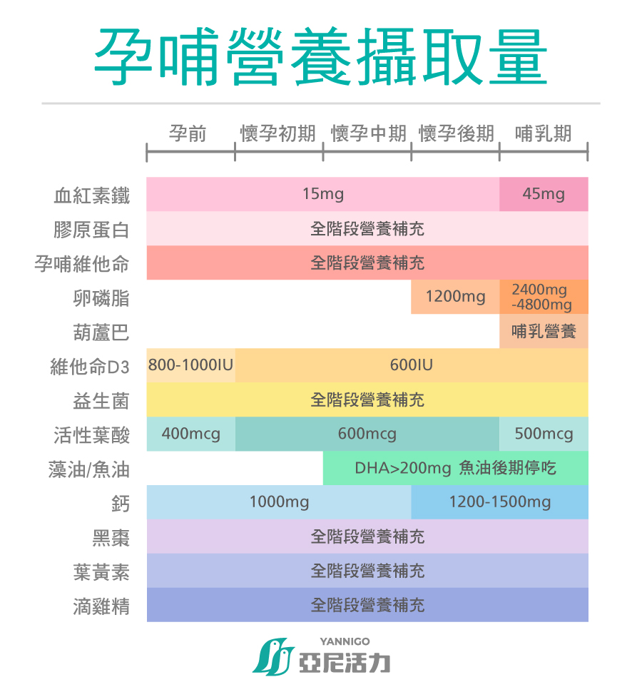 懷孕哺乳營養攝取量 懷孕哺乳營養攝取量