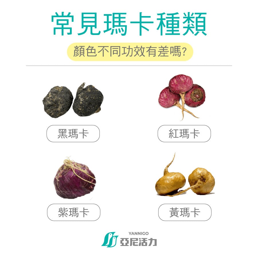 4大常見瑪卡種類 4大常見瑪卡種類