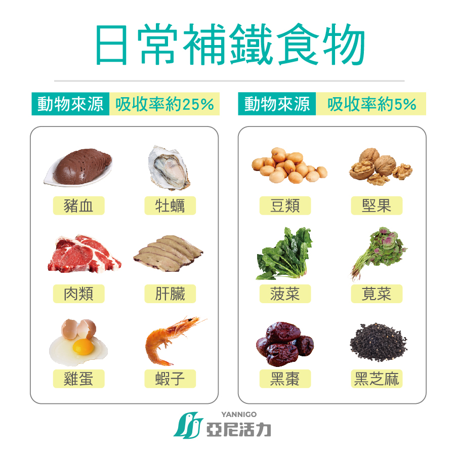 日常補鐵食物比較 日常補鐵食物比較