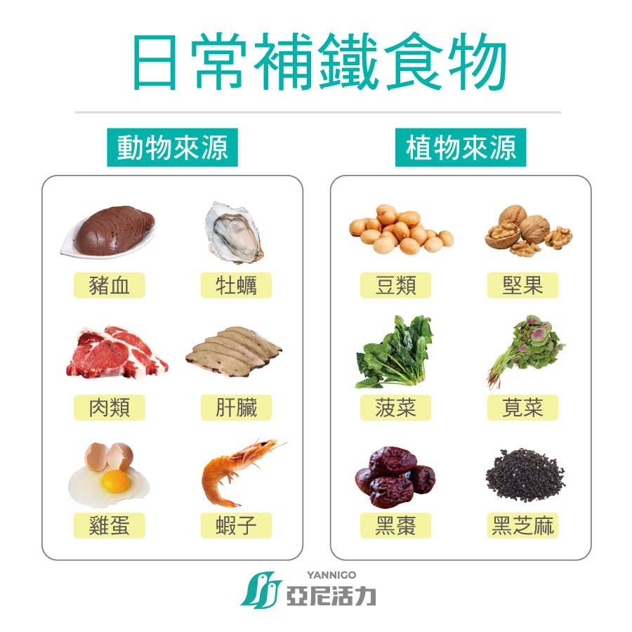 懷孕補鐵食物推薦