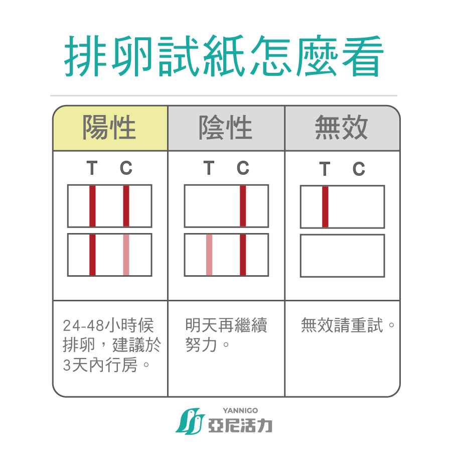 排卵試紙使用後結果這樣判斷！