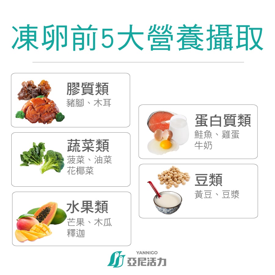 凍卵前5大營養攝取,膠質類、蔬菜類、水果類、蛋白質類、豆類 凍卵前5大營養攝取,膠質類、蔬菜類、水果類、蛋白質類、豆類