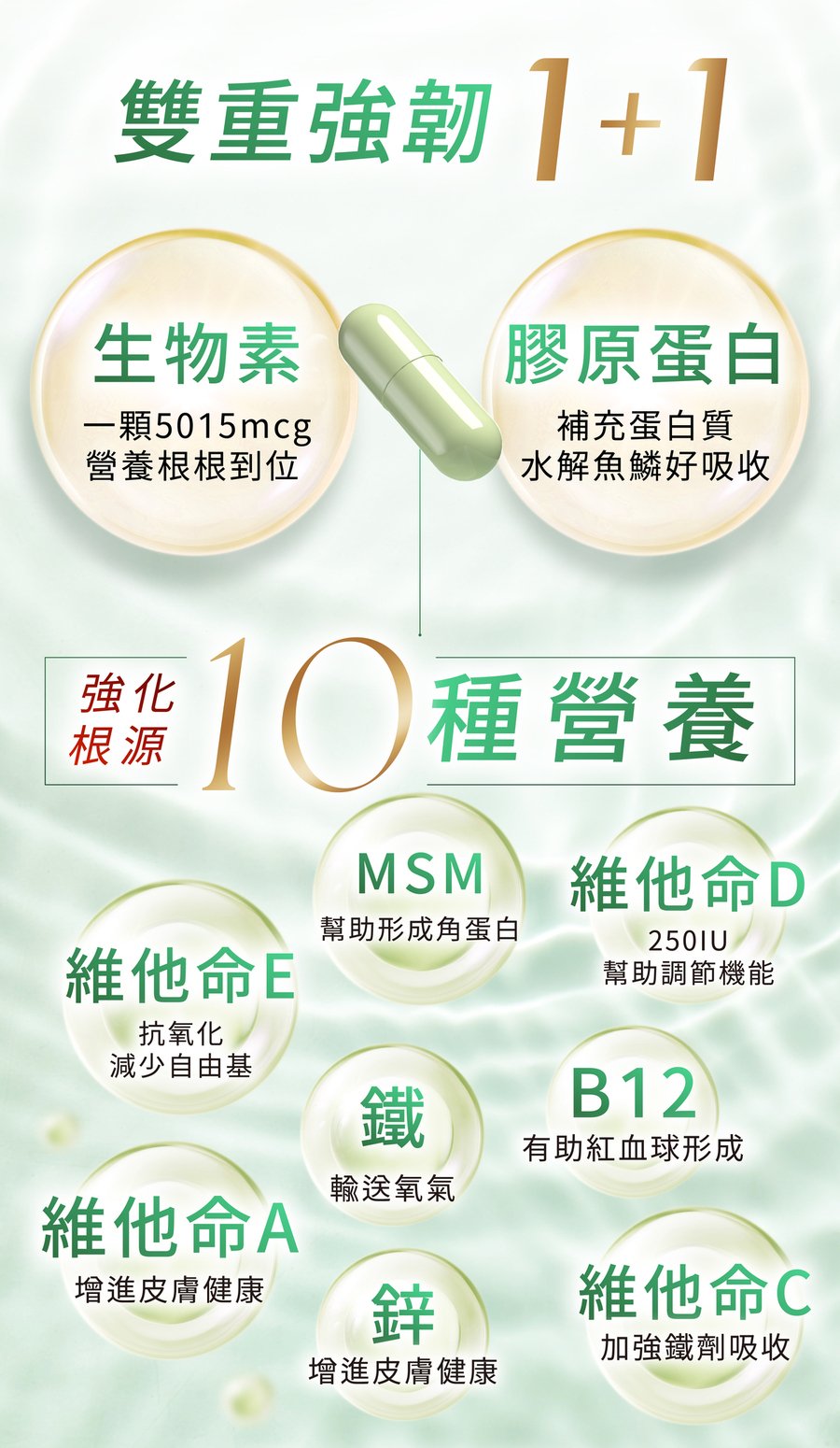 雙重強韌配方，生物素、鐵、鋅、膠原蛋白多種養髮必備營養濃縮在法倍多！