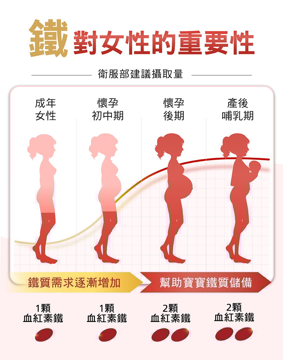 亞尼活力血紅素鐵對女性的重要性:懷孕初中期、懷孕後期、產後哺乳期 亞尼活力血紅素鐵對女性的重要性:懷孕初中期、懷孕後期、產後哺乳期