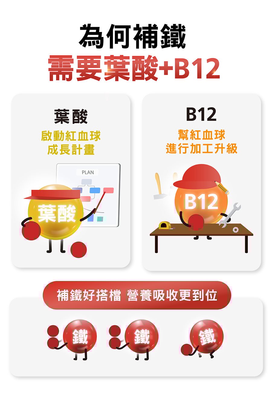 補鐵搭配葉酸+維他命12輔助，讓營養吸收更到位