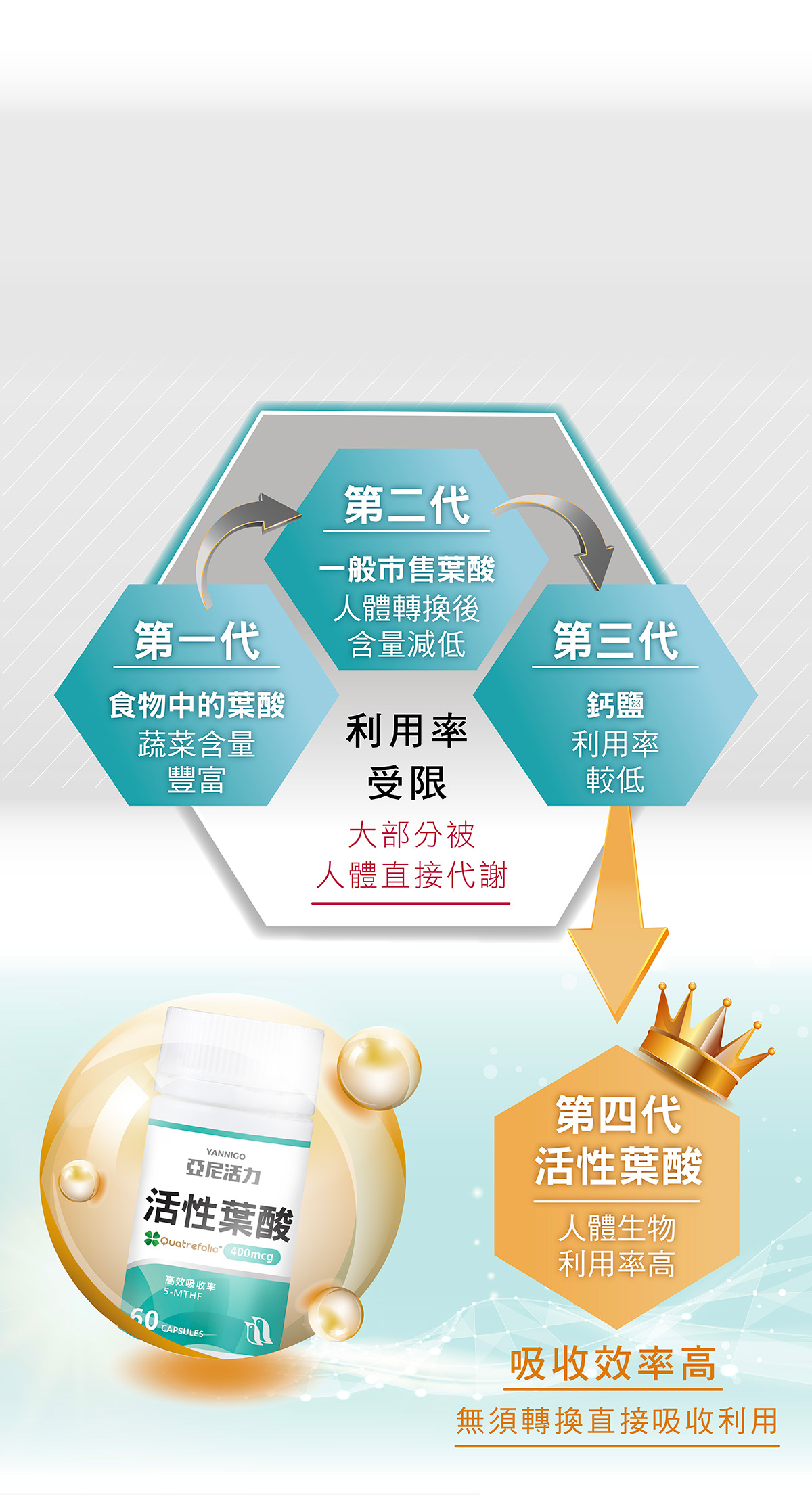 亞尼活力第四代活性葉酸，比一、二、三代葉酸更好吸收利用。