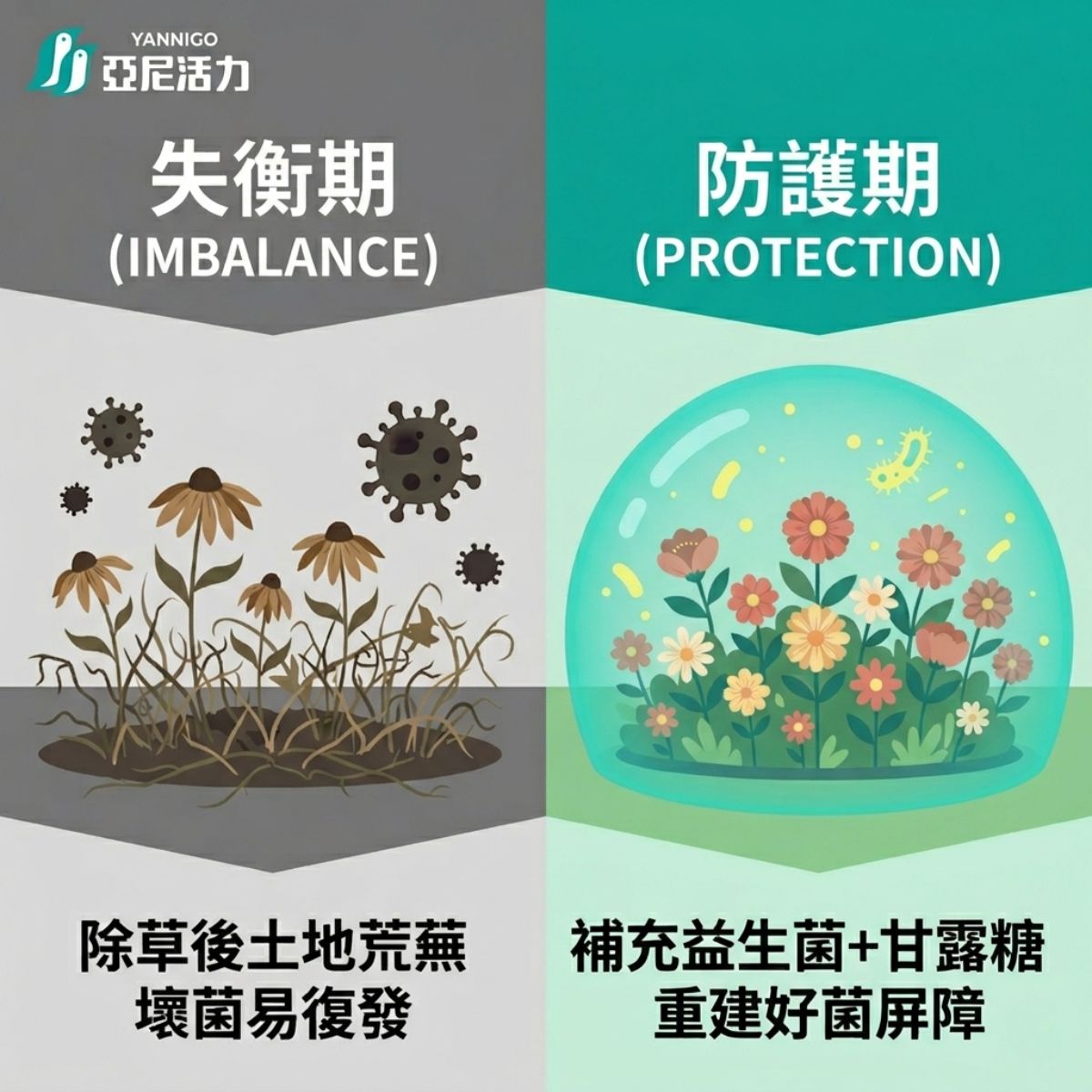 私密處花園生態對比圖