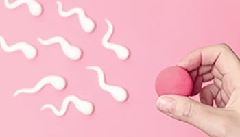 5大增加卵子品質的方法，懷孕前90天健康調養必看！