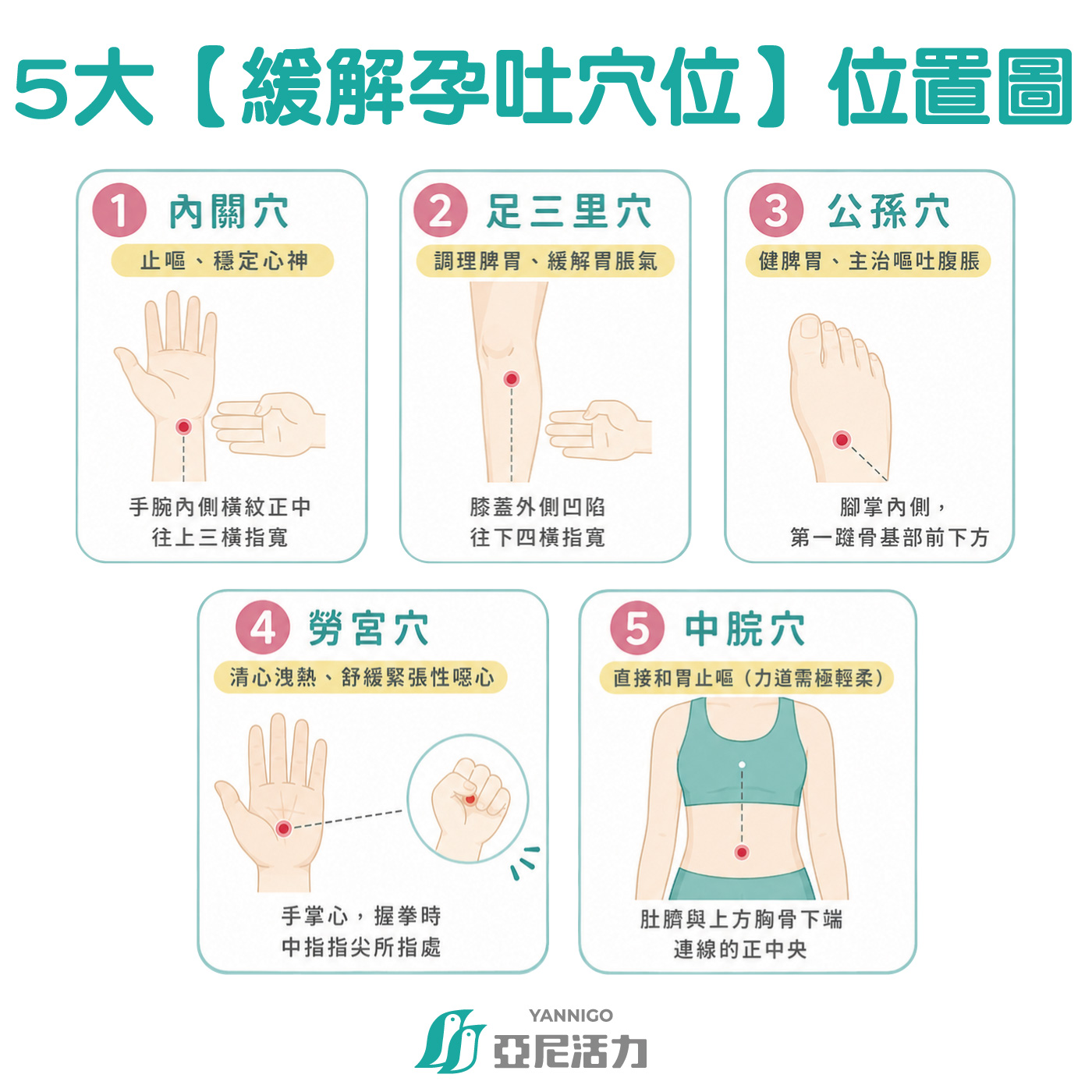 5大【緩解孕吐穴位】位置圖解 5大【緩解孕吐穴位】位置圖解