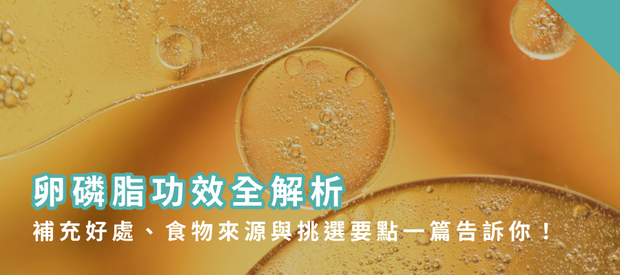 標題圖 標題圖