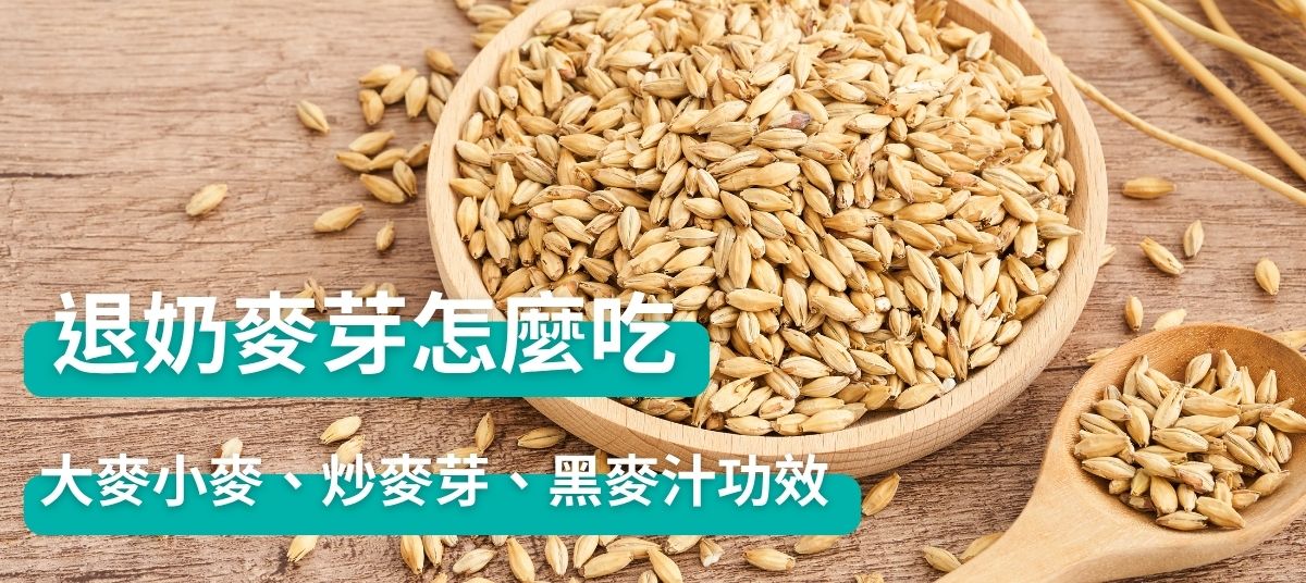 退奶麥芽茶怎麼吃？
