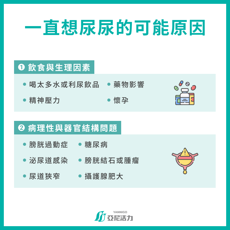 一直有尿意原因 一直有尿意原因