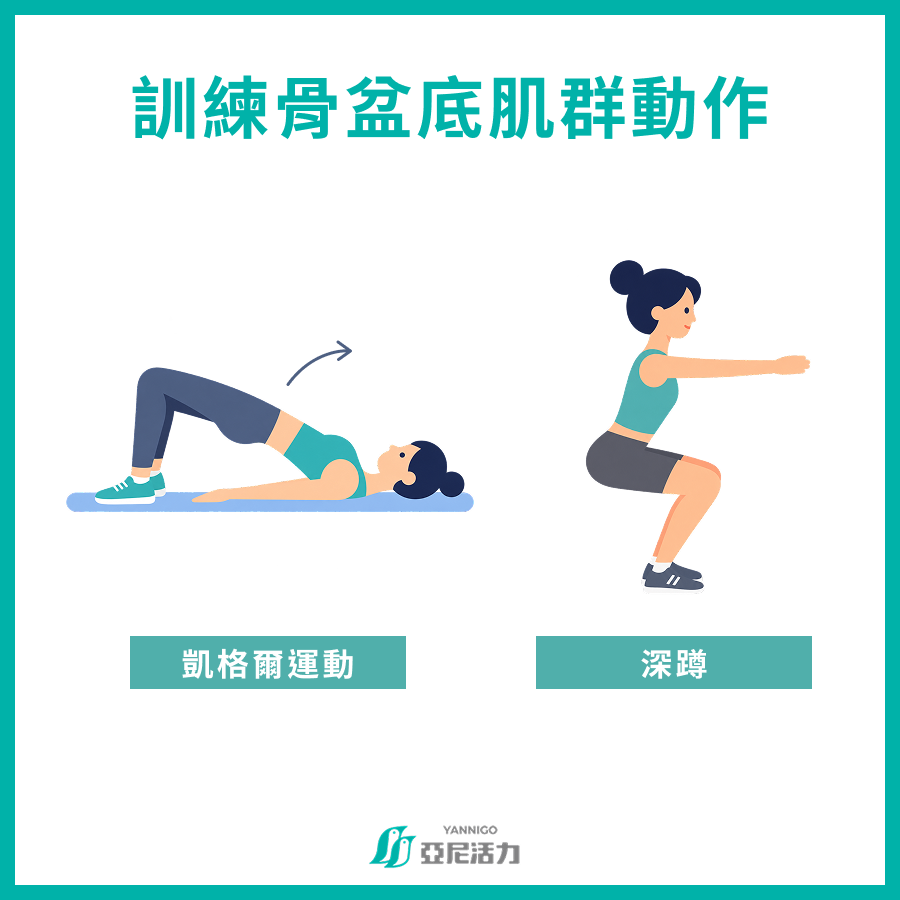 訓練骨盆底肌群動作 訓練骨盆底肌群動作