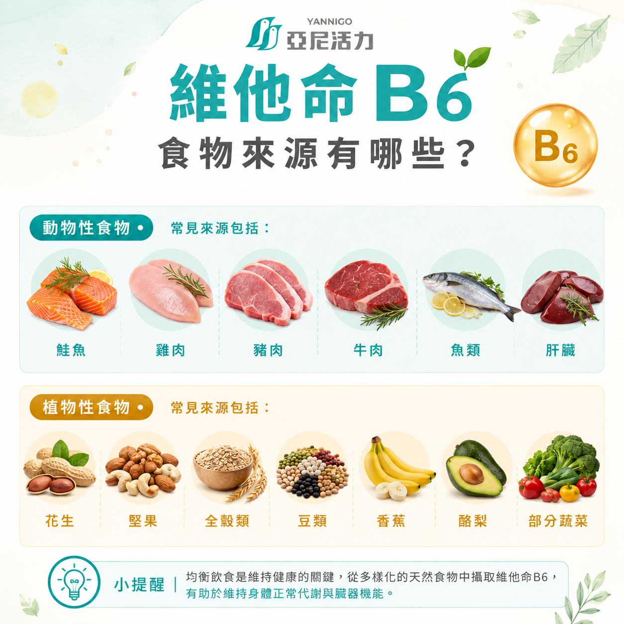 維他命b6食物有哪些? 維他命b6食物有哪些?
