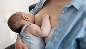 哺乳