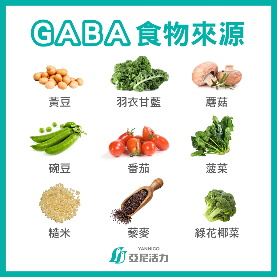 GABA食物來源