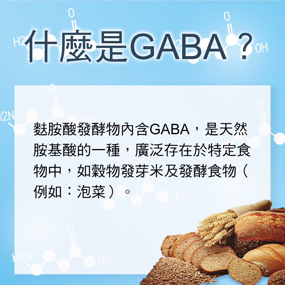 什麼是GABA？