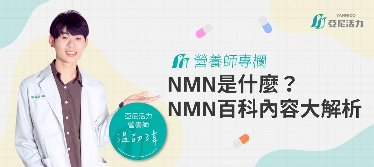 NMN是甚麼?