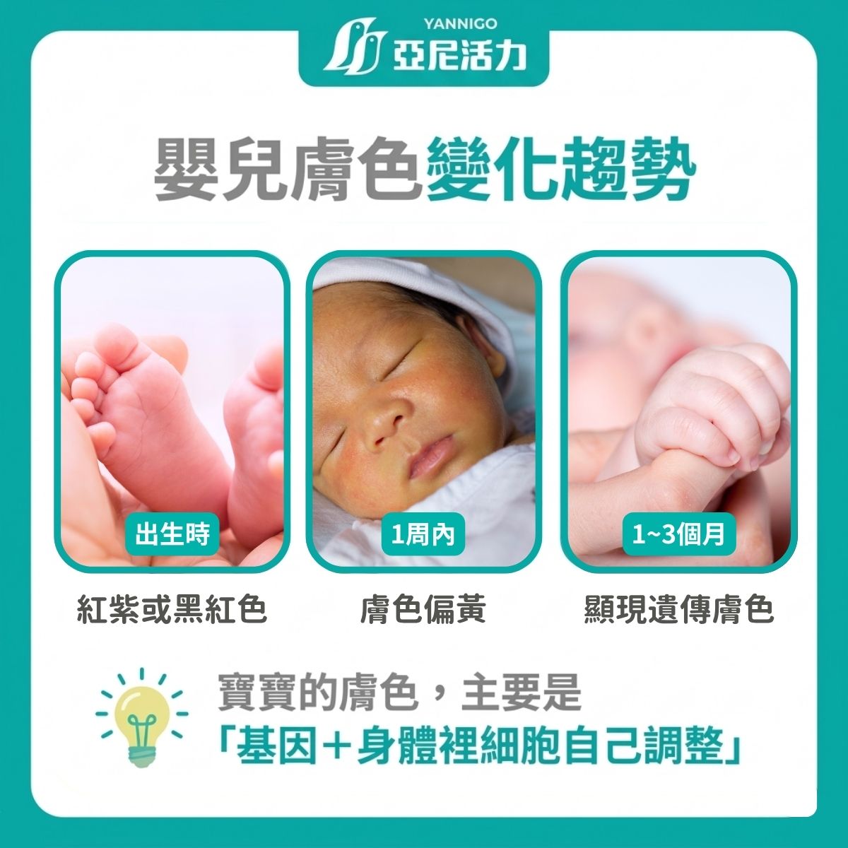 嬰兒膚色變化趨勢 嬰兒膚色變化趨勢