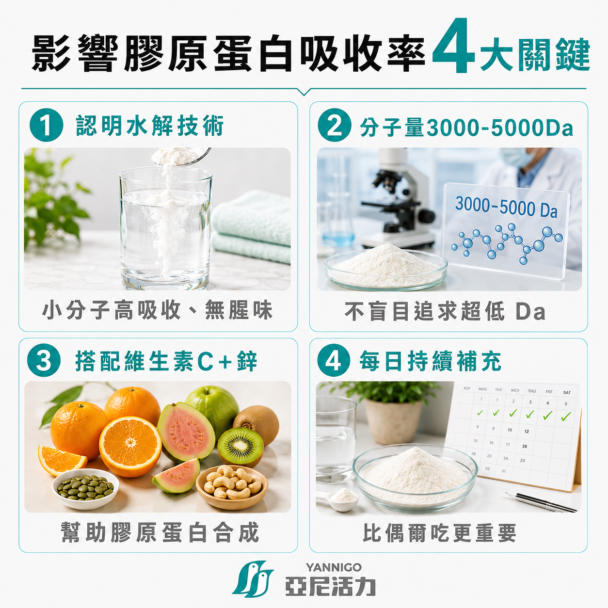 影響膠原蛋白吸收率4大關鍵 影響膠原蛋白吸收率4大關鍵
