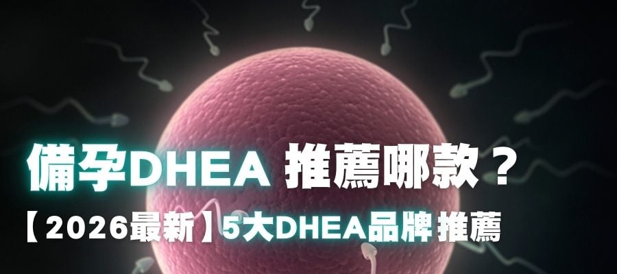 備孕DHEA推薦哪款？2026最新5大DHEA品牌推薦