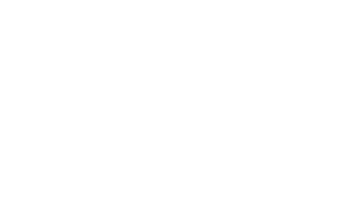 黃金比例 安心配方