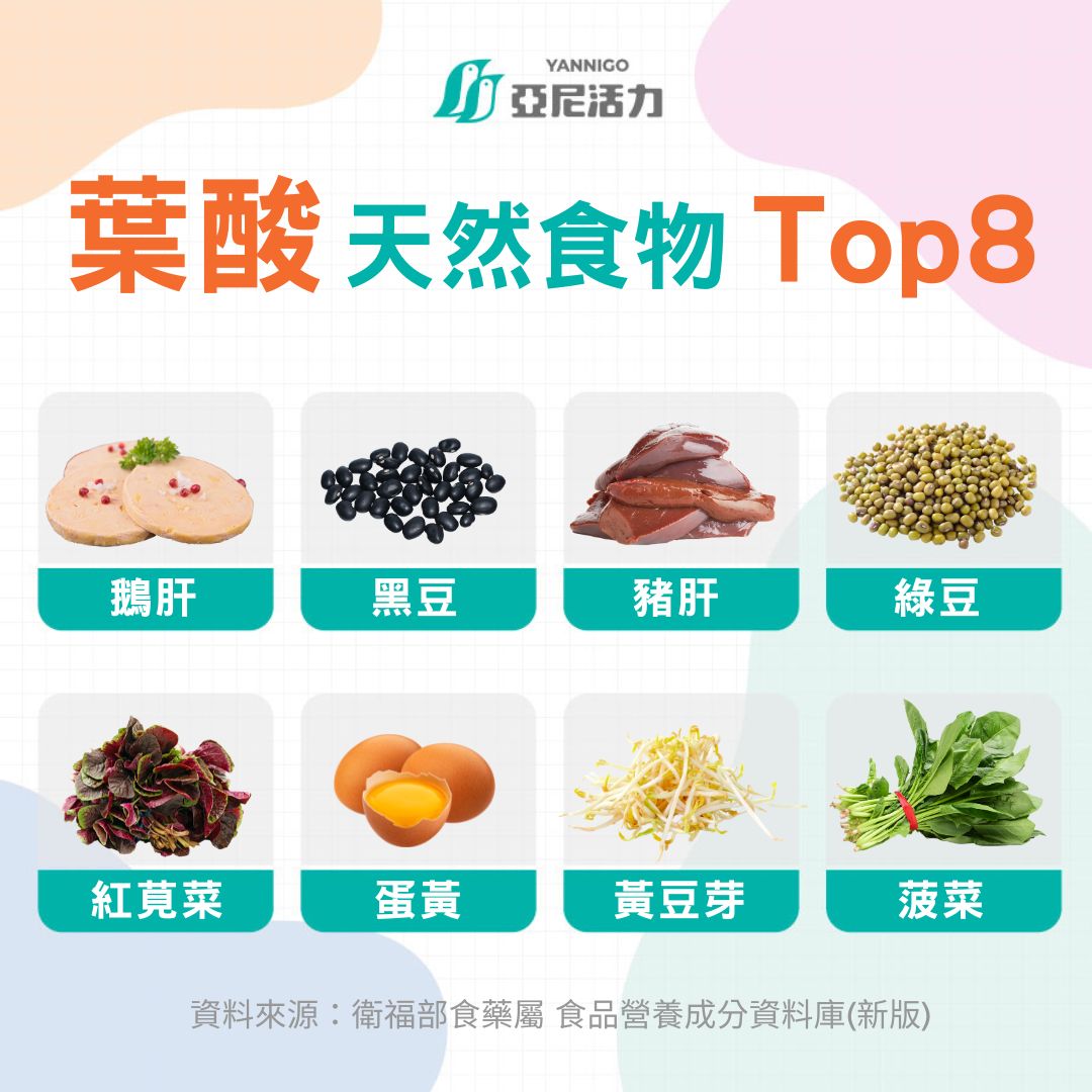 營養師推薦八大葉酸食物