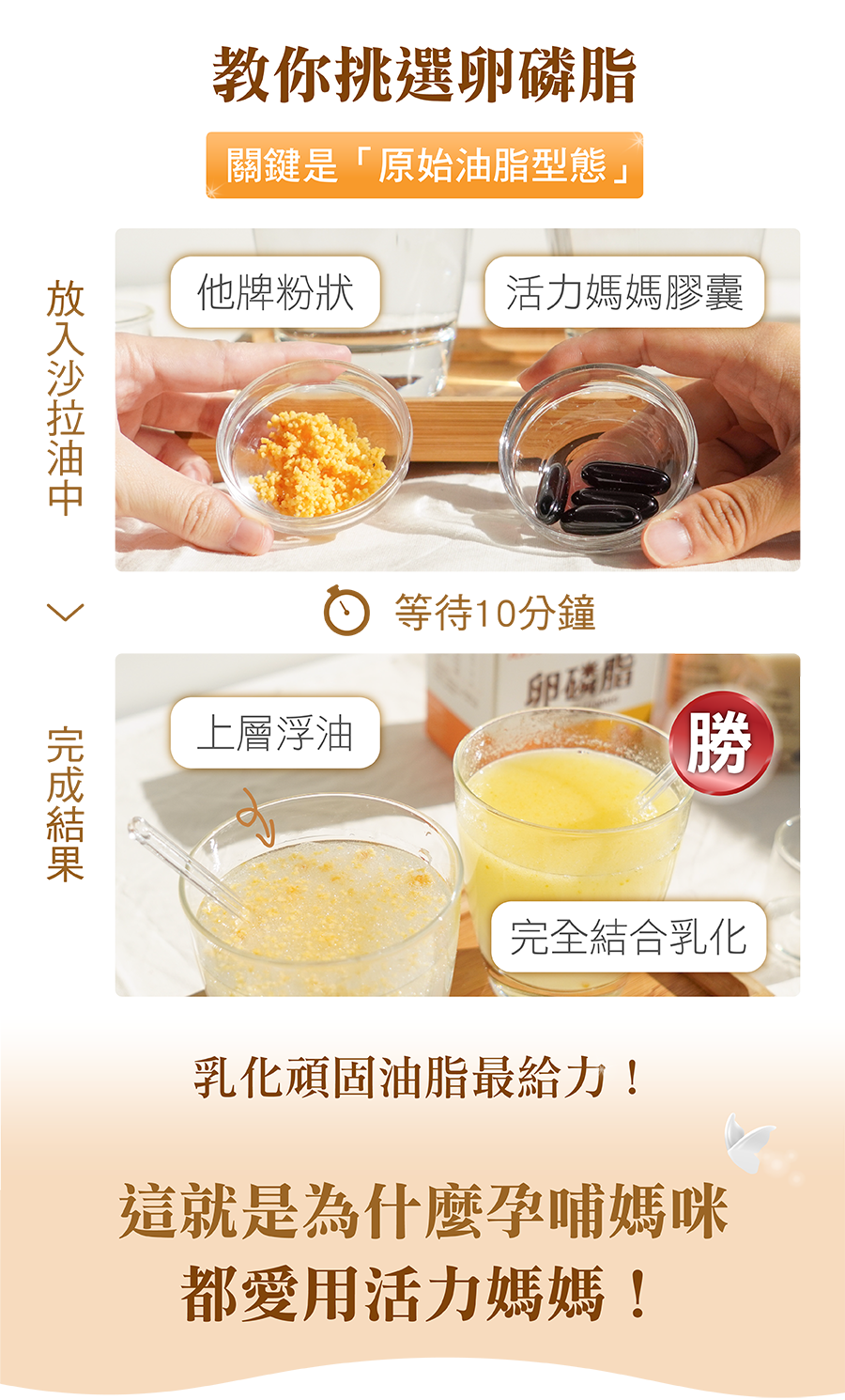 亞尼活力教你挑選卵磷脂,關鍵是「原始油脂型態」,乳化頑固油脂最給力! 亞尼活力教你挑選卵磷脂,關鍵是「原始油脂型態」,乳化頑固油脂最給力!