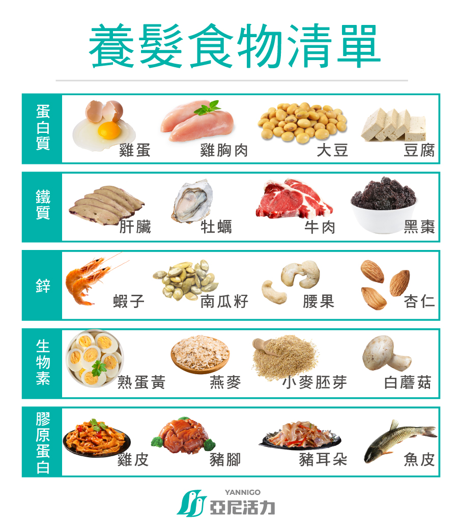 掉髮養髮食物清單