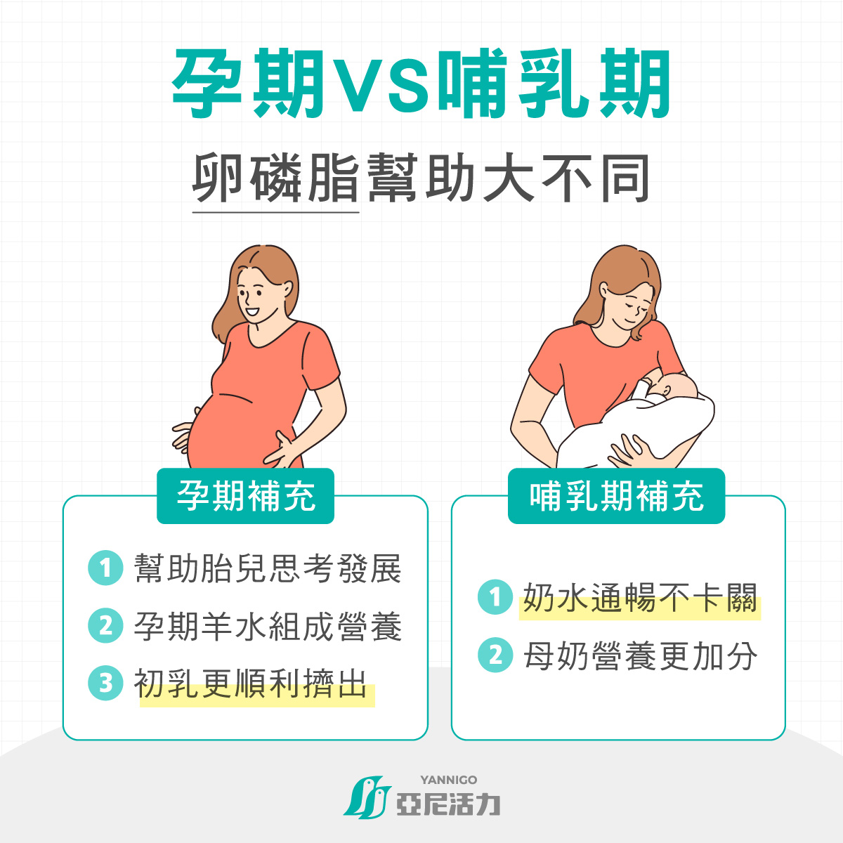 孕期和哺乳期為什麼要吃卵磷脂 孕期和哺乳期為什麼要吃卵磷脂