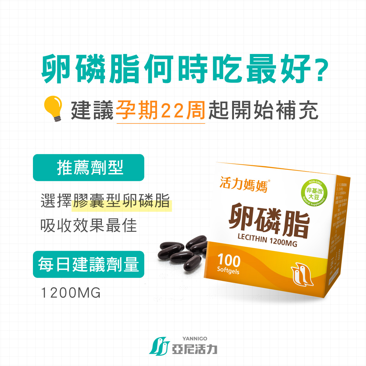 懷孕第22週(孕期中後期)補充卵磷脂是最佳時機 懷孕第22週(孕期中後期)補充卵磷脂是最佳時機