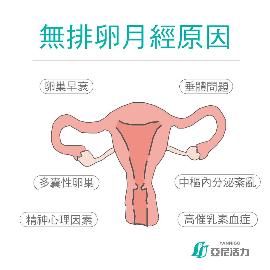 無排卵月經6大原因