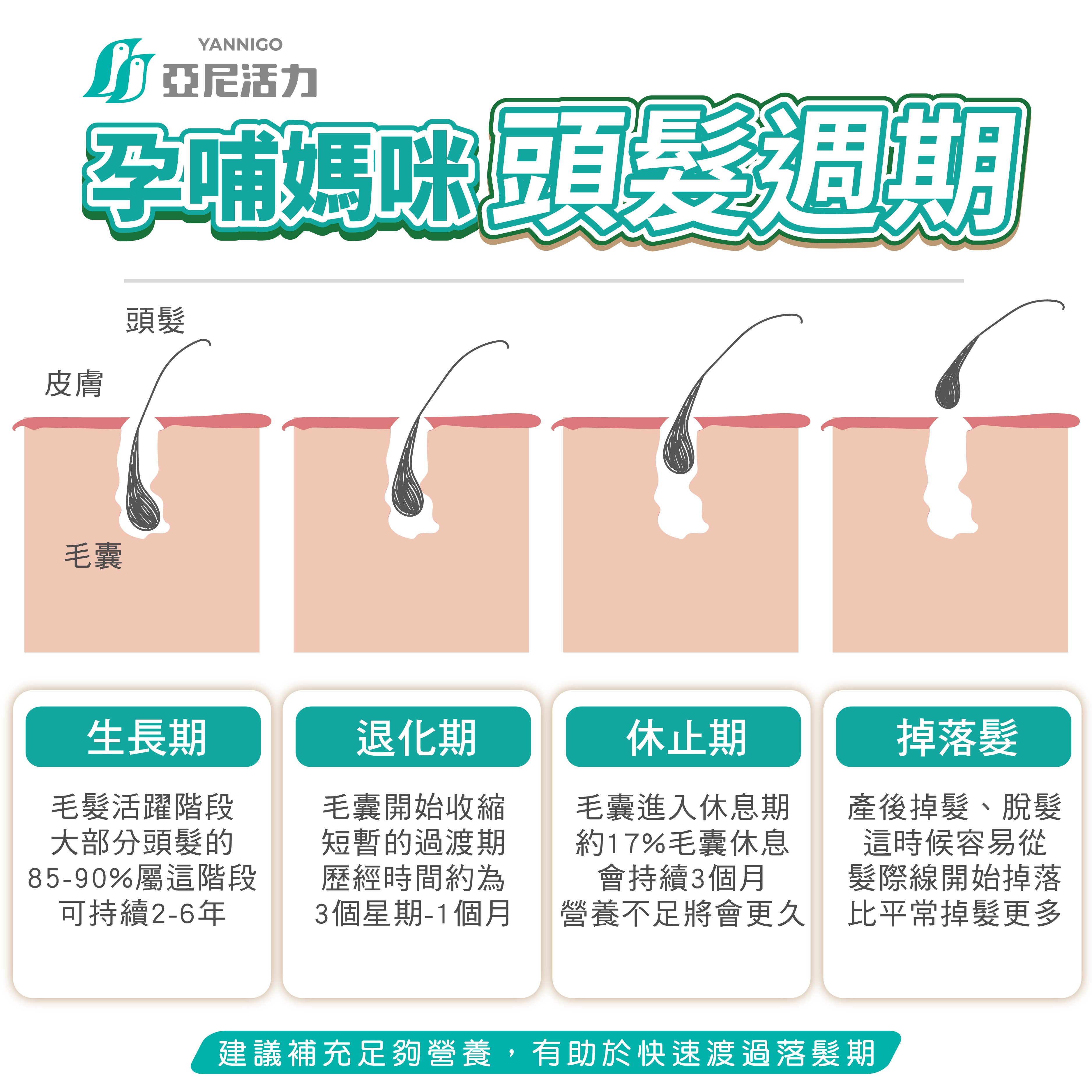 產後掉髮怎麼改善?