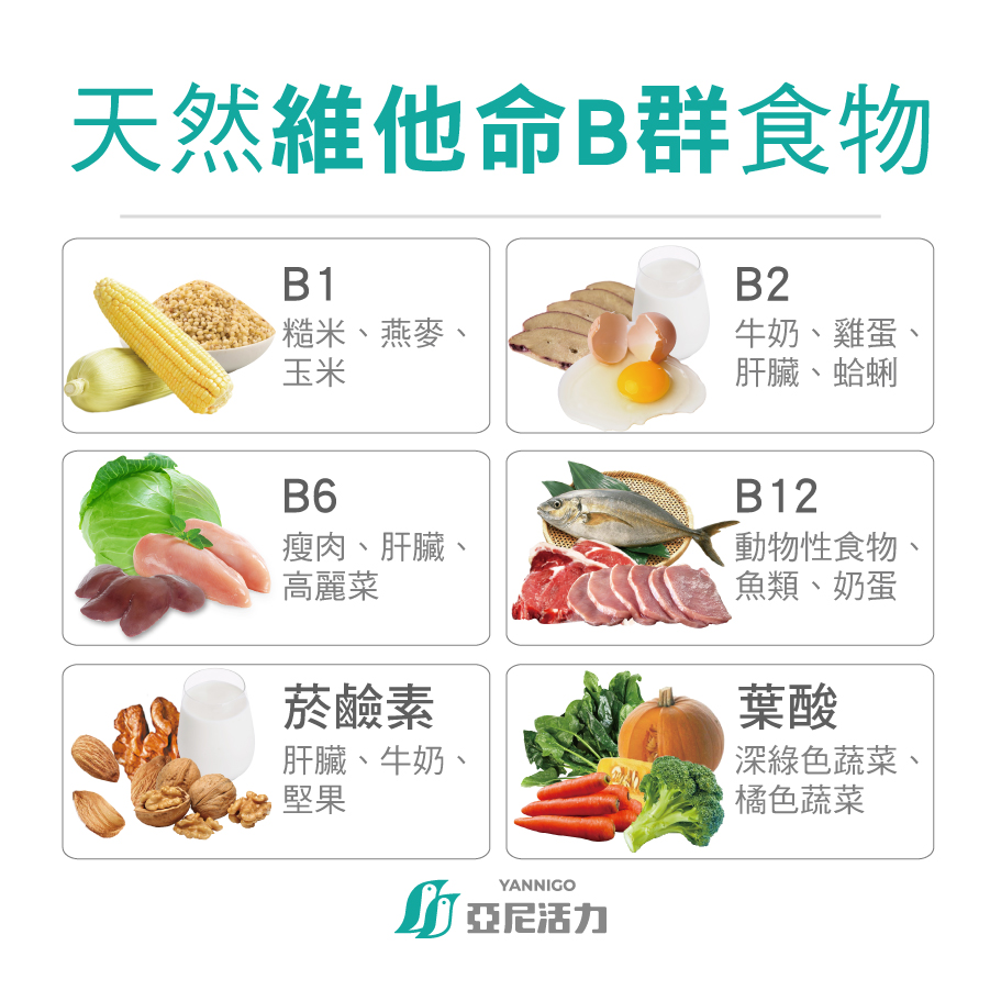 吃高單位B群好處有哪些？30秒看懂維他命B群作用與功效！ 亞尼活力