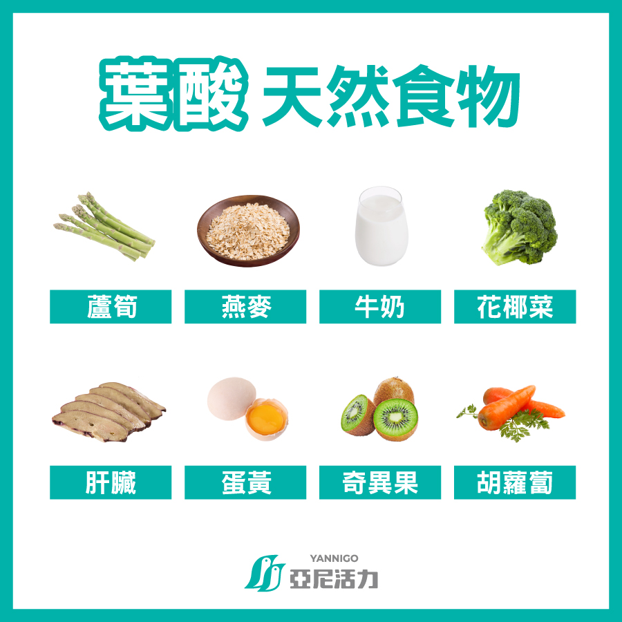 懷孕葉酸天然食物 懷孕葉酸天然食物