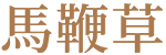 馬鞭草 馬鞭草